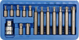 TRUSA 15 PIESE BITURI TORX CR-V (cod: 66580)