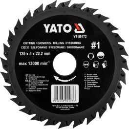 DISC CIRC.-RASPEL PT LEMN, 125X22.2MM, NR2 (cod: YT-59172)